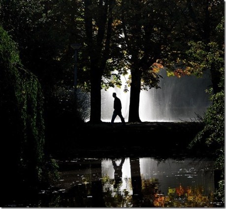 Reflections by James Rainsford